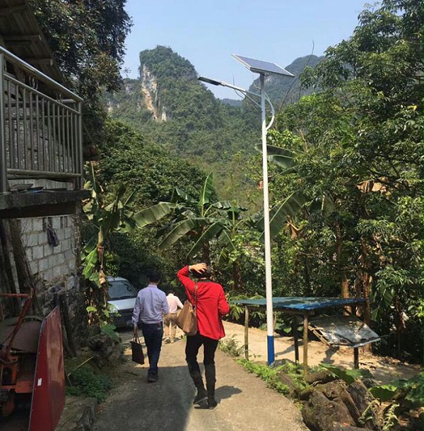 太陽能路燈 新農村太陽能路燈 太陽能路燈廠家