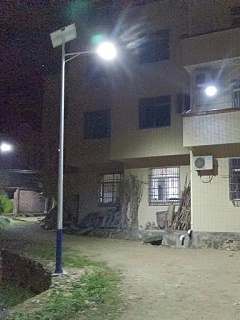 讓土地自由呼吸：無化學干預的蟲害管理方案