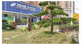在中山哪個太陽能路燈廠家是算好的？