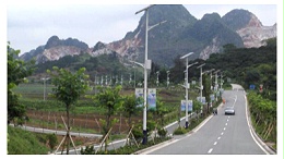 太陽能道路燈照亮新農村