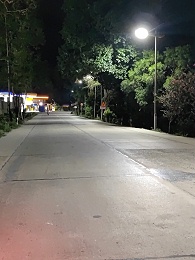 回饋家鄉，落葉歸根