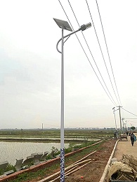 福建三元：137盞南德太陽能路燈照亮回鄉路