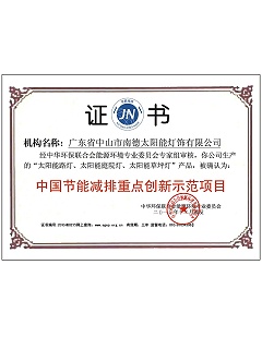 節能減排重點創新項目示范證書