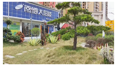 在中山哪個太陽能路燈廠家是算好的？