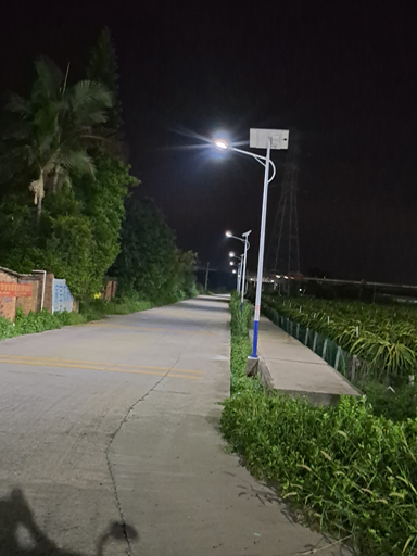 廣東惠州博羅農田道路安裝6米太陽能路燈
